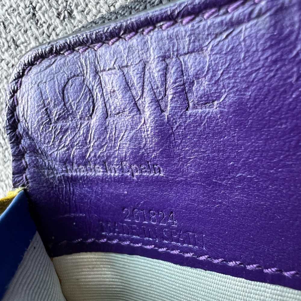 Loewe Rainbow Collection Zippy Wallet - Picture 12 of 17
